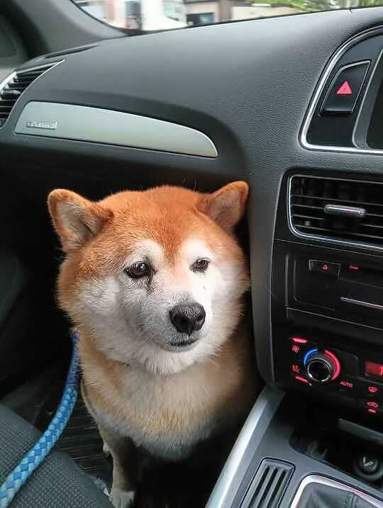 トピックス画像