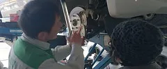 車検画像