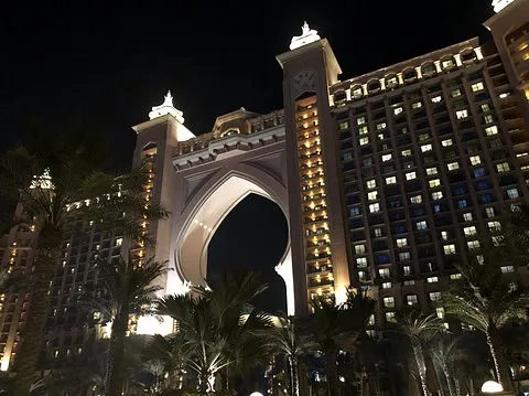 オークション販売画像