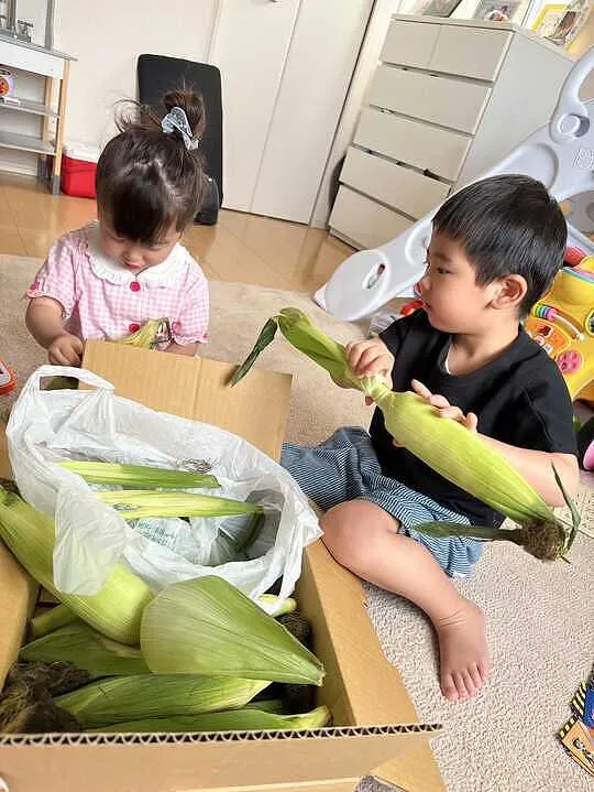 トピックス画像