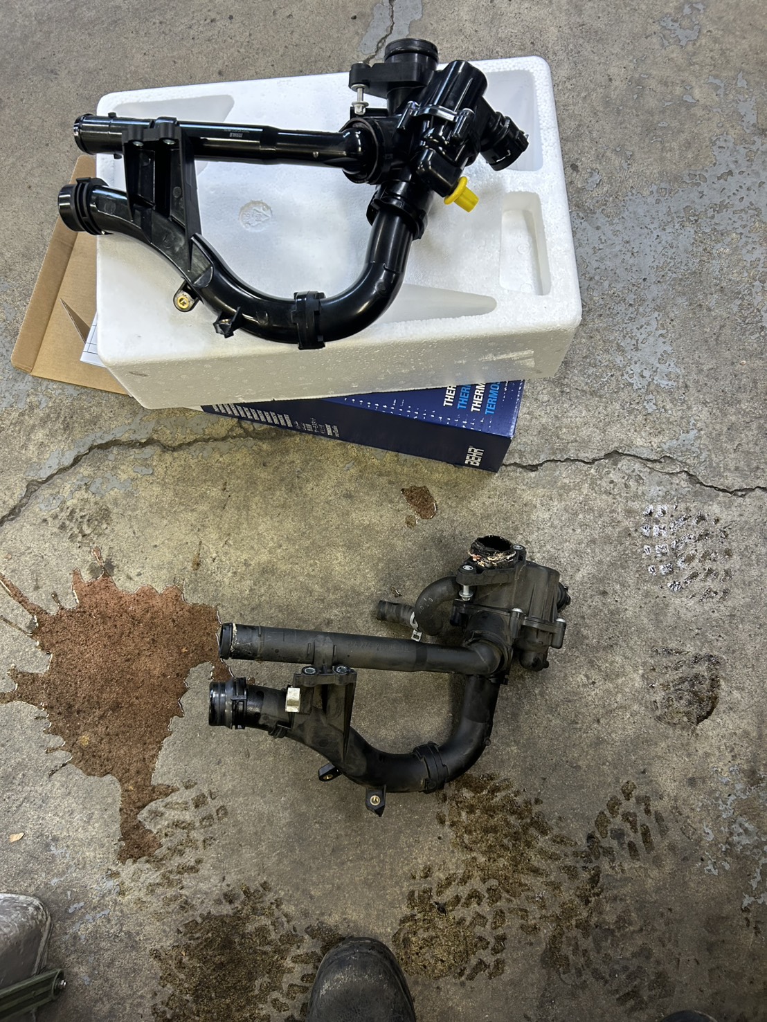 W205サーモスタット交換