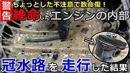 トピックス画像