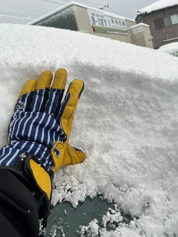 スタッフのつぶやき.2026