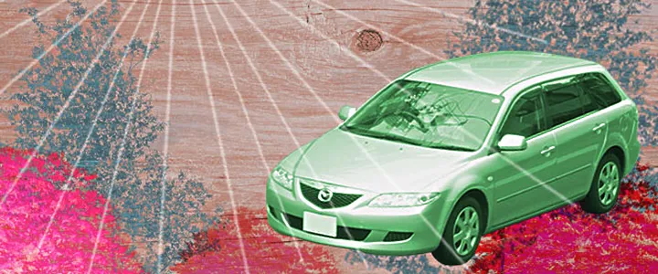 車検画像