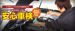 車検画像