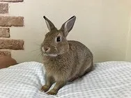 トピックス画像