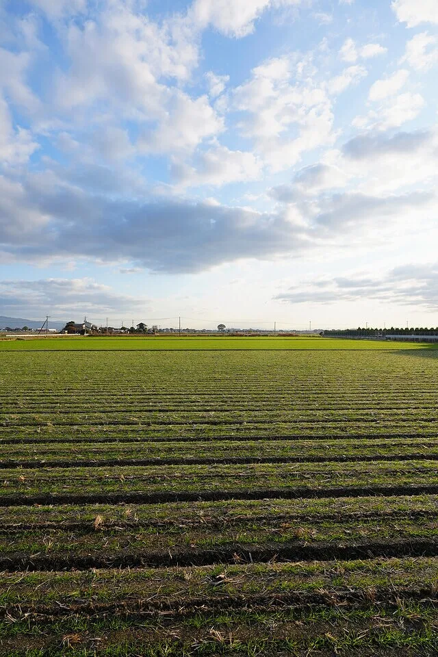 社長の風景写真。佐賀の風景。００５