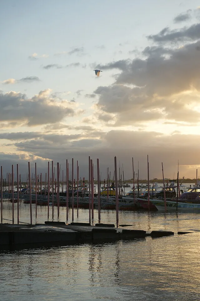 社長の風景写真。佐賀の風景。０１３