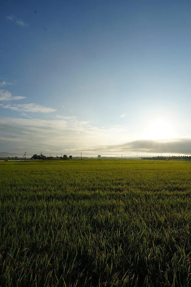 社長の風景写真。佐賀の風景。０１8