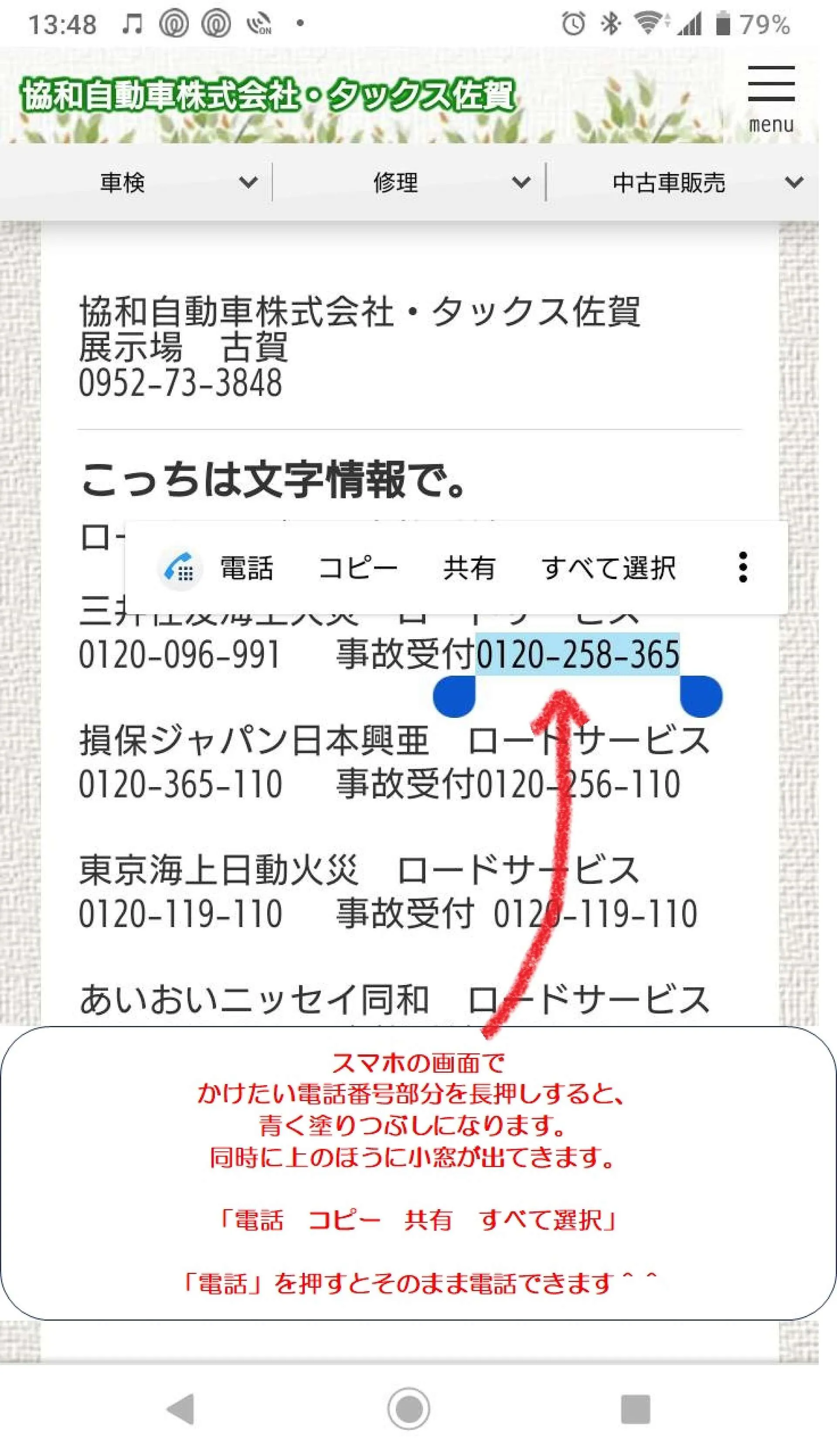 カラフル エアファーン 予約受付 お声掛けページ - フラワー/ガーデン