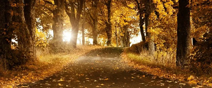 サブページメイン画像