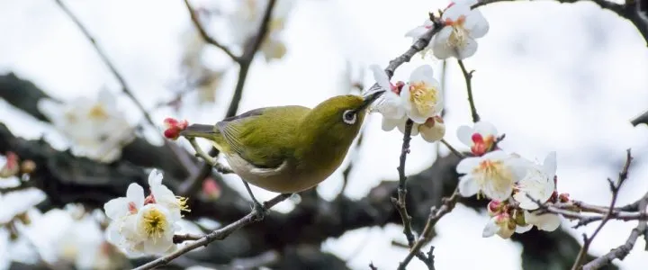 サブページメイン画像