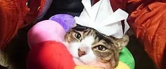 修理画像