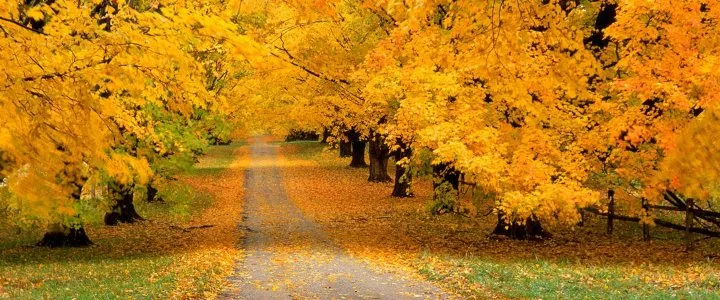 トップスライド画像2