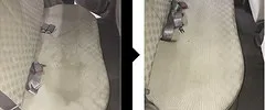 シート洗浄画像