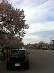 トピックス画像