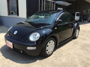 ニュービートル