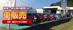 車両販売画像