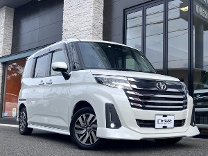 ルーミー
