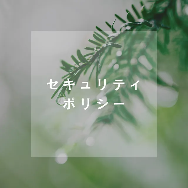 セキュリティポリシー