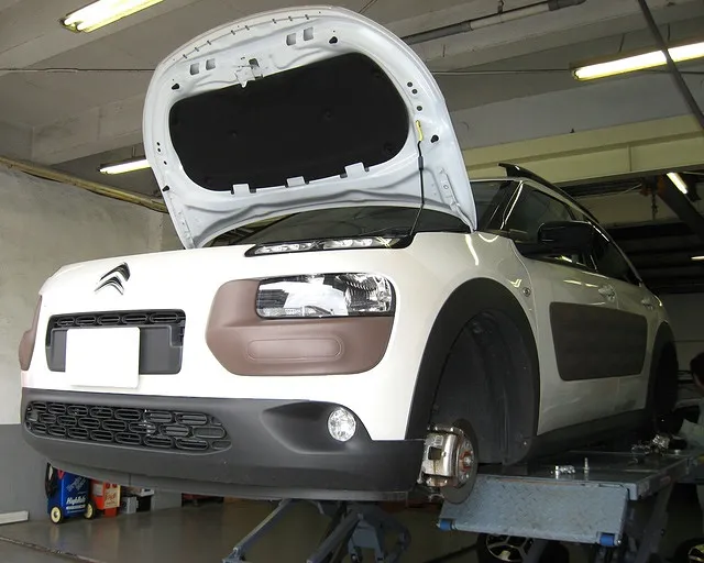 C4 CACTUS 法令点検