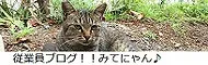 exblog