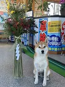 (有）小澤自動車外観