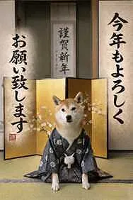 (有）小澤自動車外観