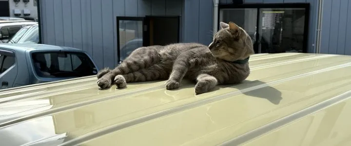 サブページメイン画像