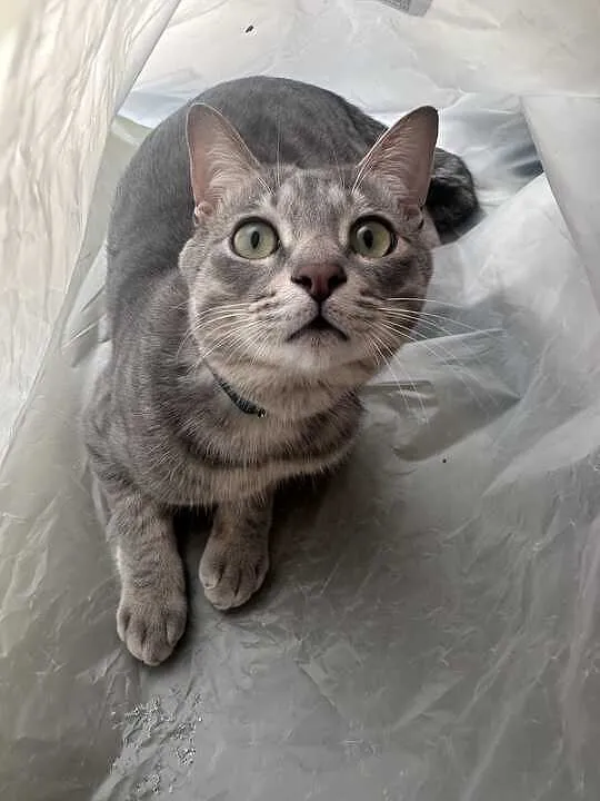 トピックス画像