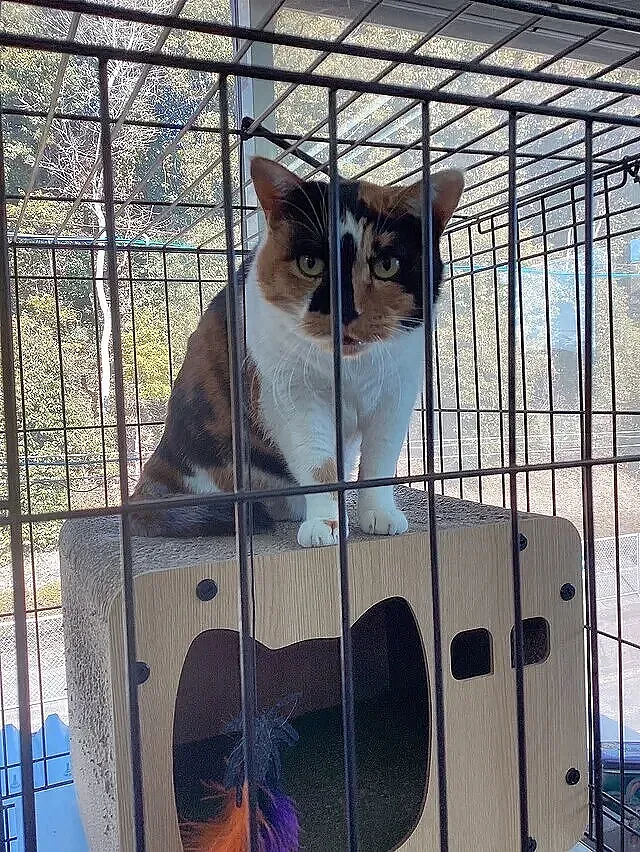 　スタッフの気ままなブログ2026年1月