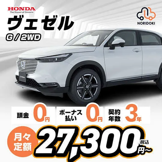 自由入力画像