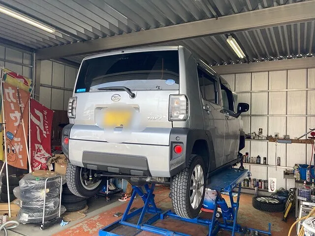 1月８日　タフト