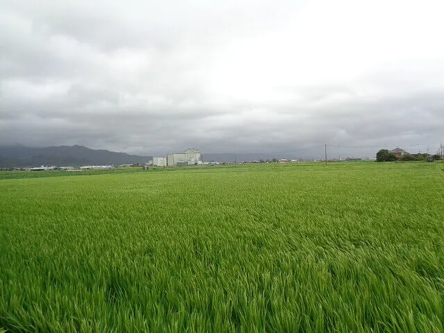 ２０２２年9月7日　　　　　　佐賀にも台風が通過しました