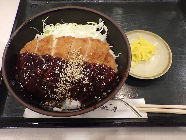 ２０２４年１月17日　　　　　　　　中部圏に来たら、味噌カツ丼