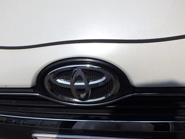 ２０２５年8月31日　　　　　　　　一人勝ちはよろしくありません