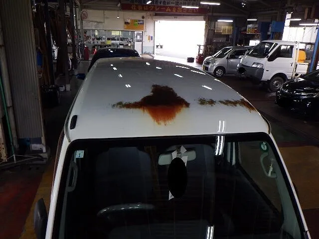 ２０２５年10月3日　　　　　　　　　早急に対処が必要です