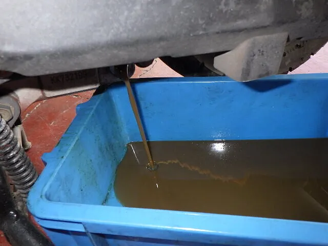 ２０２６年2月9日　　　　　　　　カフェオーレは好きですか