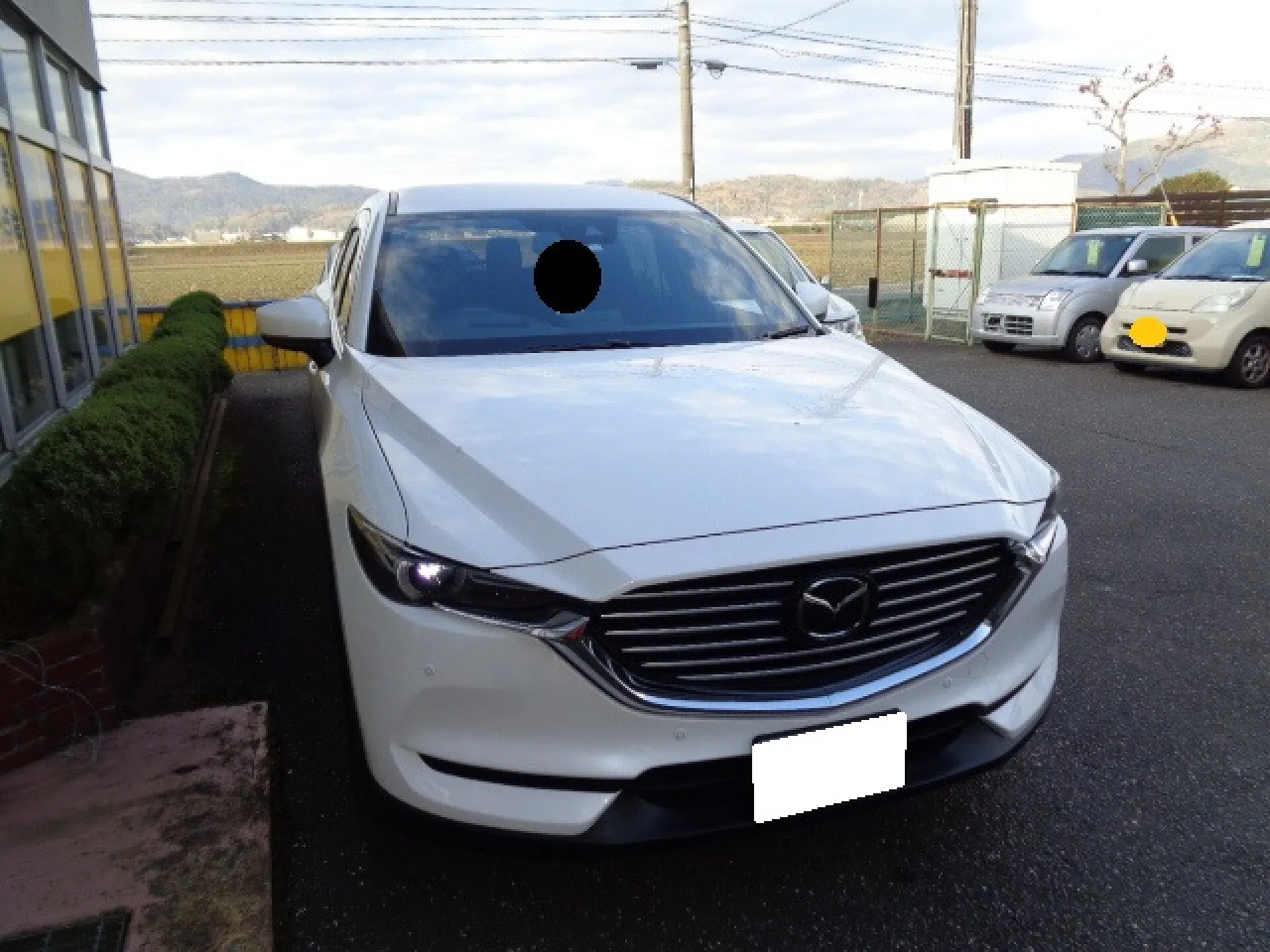 マツダ CX5 CX-8 フロントバンパーレースグリルカバー メッシュマスク