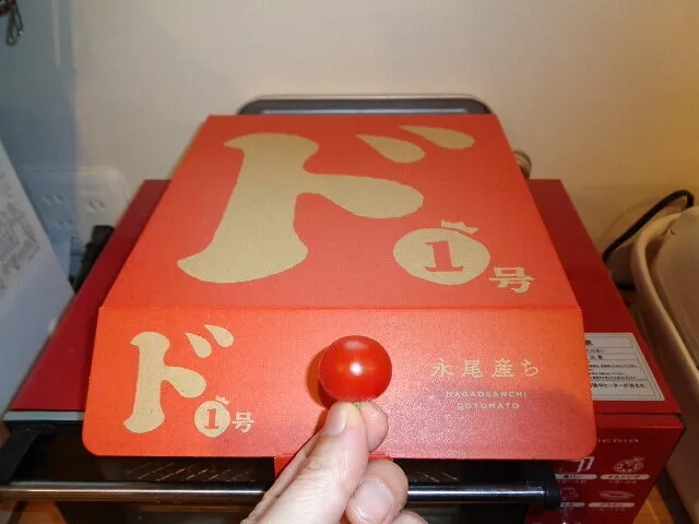 ＃ブログ２０２２年３月26日　　　　　永尾産ちのドトマトは凄い！