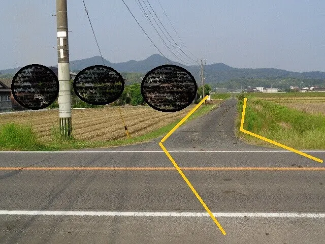 ２０２２年6月11日　　　　　　　田舎の道路事情