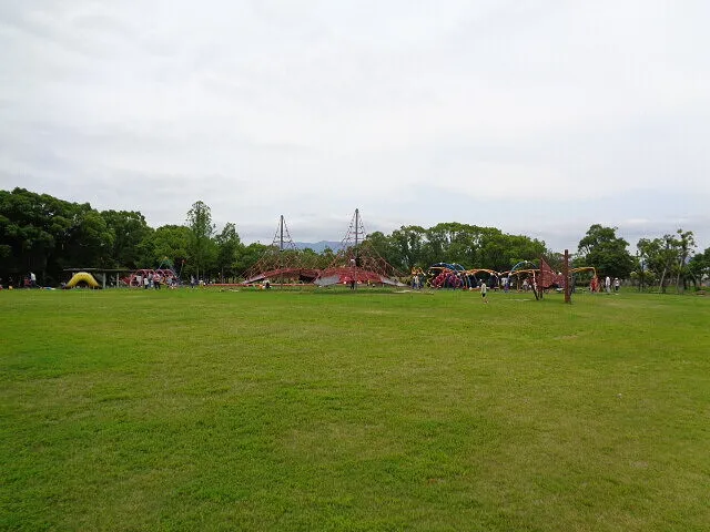 ２０２２年6月20日　　　　　　　子供と森林公園に行きました