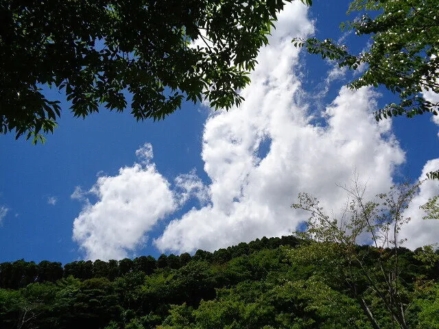 ２０２２年7月２日　　　　　　　暑い日が続きますね・・