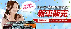 カーリース画像