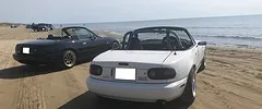Roadster画像