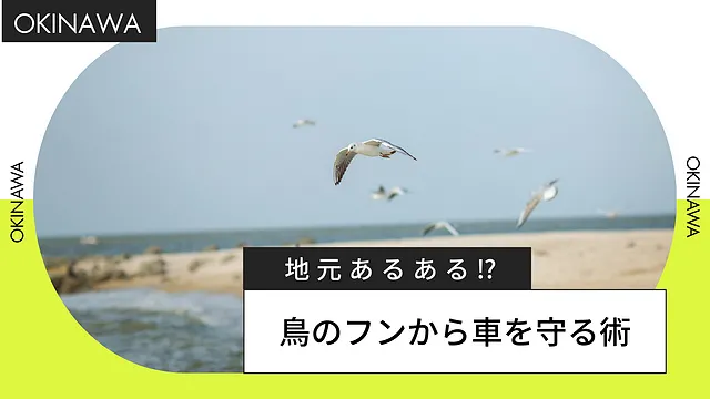 渡り鳥シーズン到来！愛車をフン被害から守るコツ