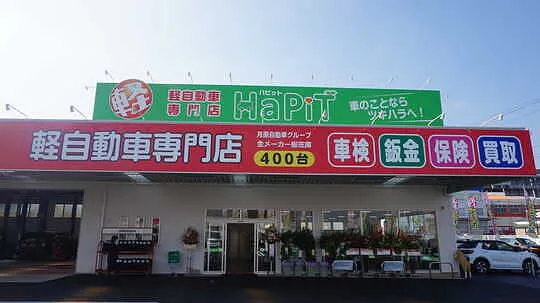 自由入力画像