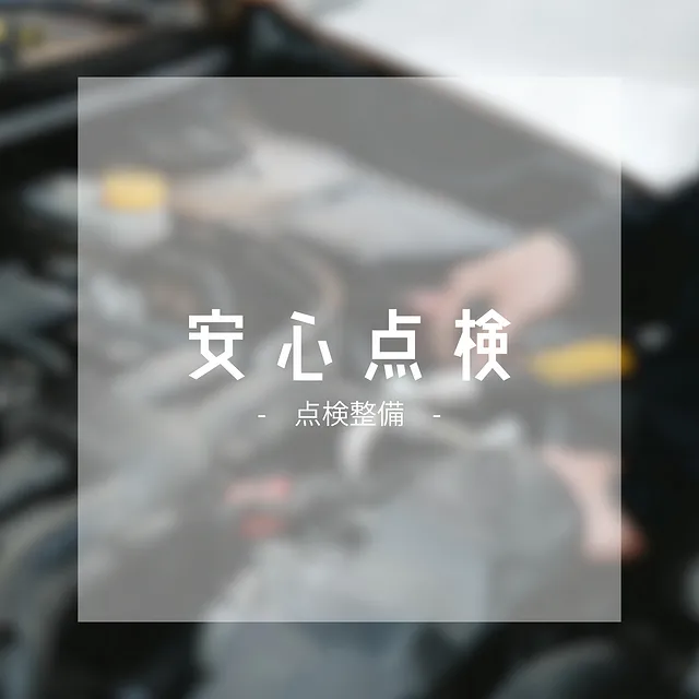 安心点検