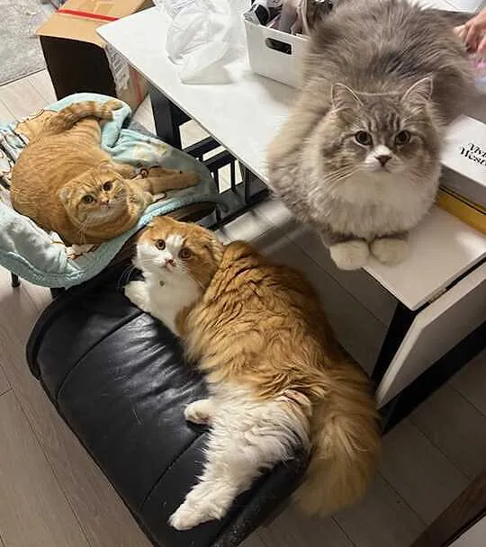 トピックス画像