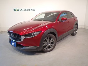 CX-30